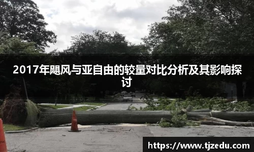 熊猫体育2017年飓风与亚自由的较量对比分析及其影响探讨