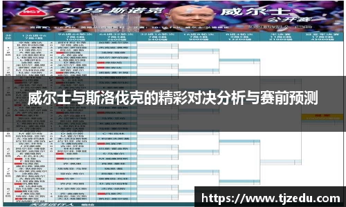 熊猫体育威尔士与斯洛伐克的精彩对决分析与赛前预测